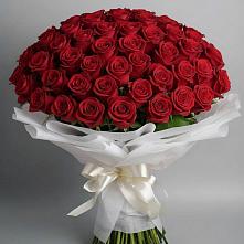 Букет 101 Красная роза Блэк Мэджик #REPLACE_PRED# Введенском Курганской области