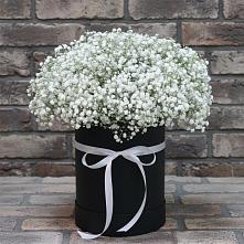 Цветочная композиция из Гипсофила в шляпной коробке в Введенском Курганской области