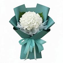 Букет цветов из:  Гортензия в Введенском Курганской области